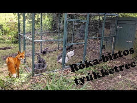 az ember szalagféreg kölcsönhatás biotikus tényezője mérgező sashera méz