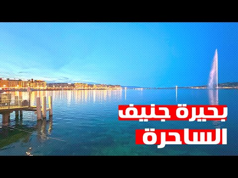 الفيديو