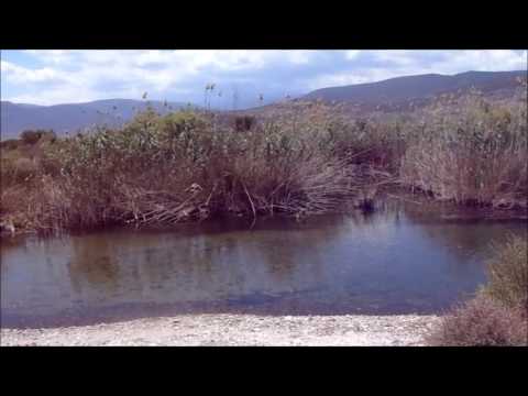 «Dichali» the second mouth of lake Moustos