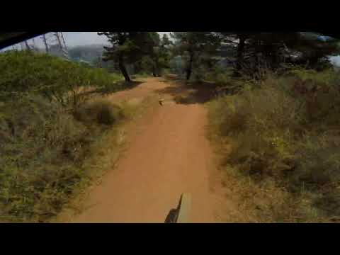 La Antena en Los Perros Reñaca Dic 2022