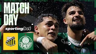 EM BUSCA DA TAÇA! BOLETIM PRÉ-JOGO | NOVORIZONTINO X PALMEIRAS | PAULISTA 2026