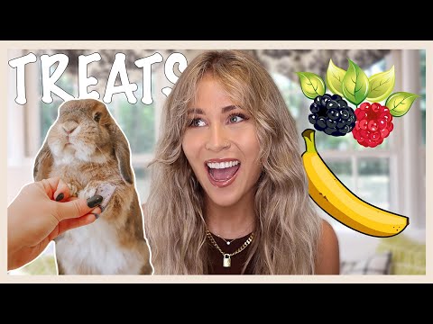 Treats You Can Feed Your Rabbit