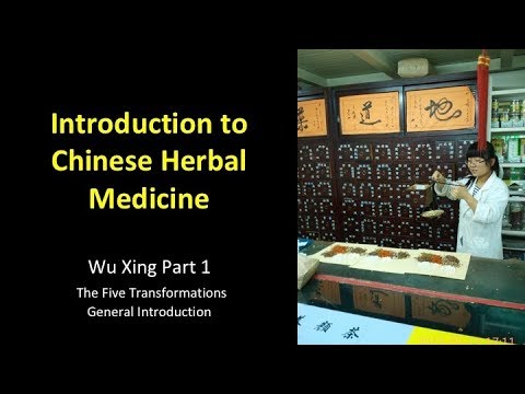 History of Wu Xing - The Five Transformations - Part 1 - The origins