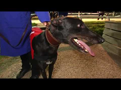 2017 WILLIAM HILL NOTRTHERN ALL ENGLAND CUP - HEAT 1 - T1 DROOPYS BUICK