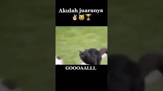 Download lagu kucing bermain sepak bola #shorts #kucing #lucu mp3 Download lagu kucing bermain sepak bola #shorts #kucing #lucu mp3