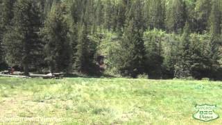 preview picture of video 'CampgroundViews.com - Crystal Creek Campground Jackson (Kelly) Wyoming WY Forest Service'
