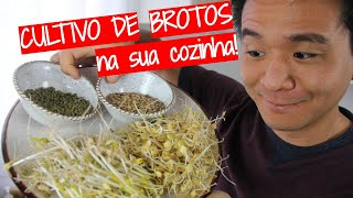 Miniatura do vídeo