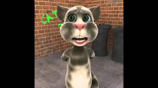 Talking Tom Lugano va fan culo