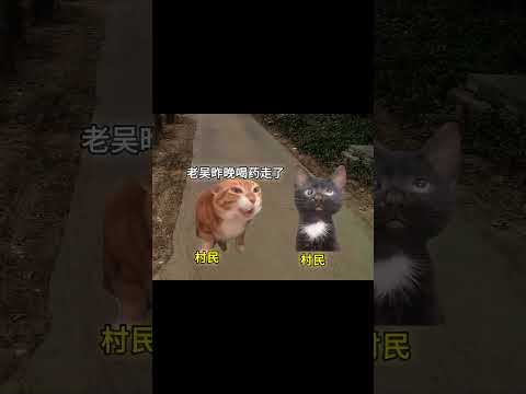 为什么老一辈没有抑郁症#猫meme小剧场 #抑郁焦虑