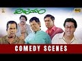 Vijayam Movie Back To Back Comedy Scenes Raja Gajala Brahmanandam AVS Sunil Suresh Productions