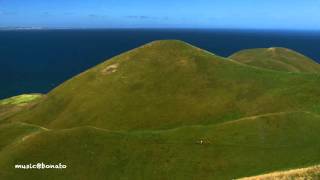 Reptile Youth - Rivers That Run for a Sea That Is Gone