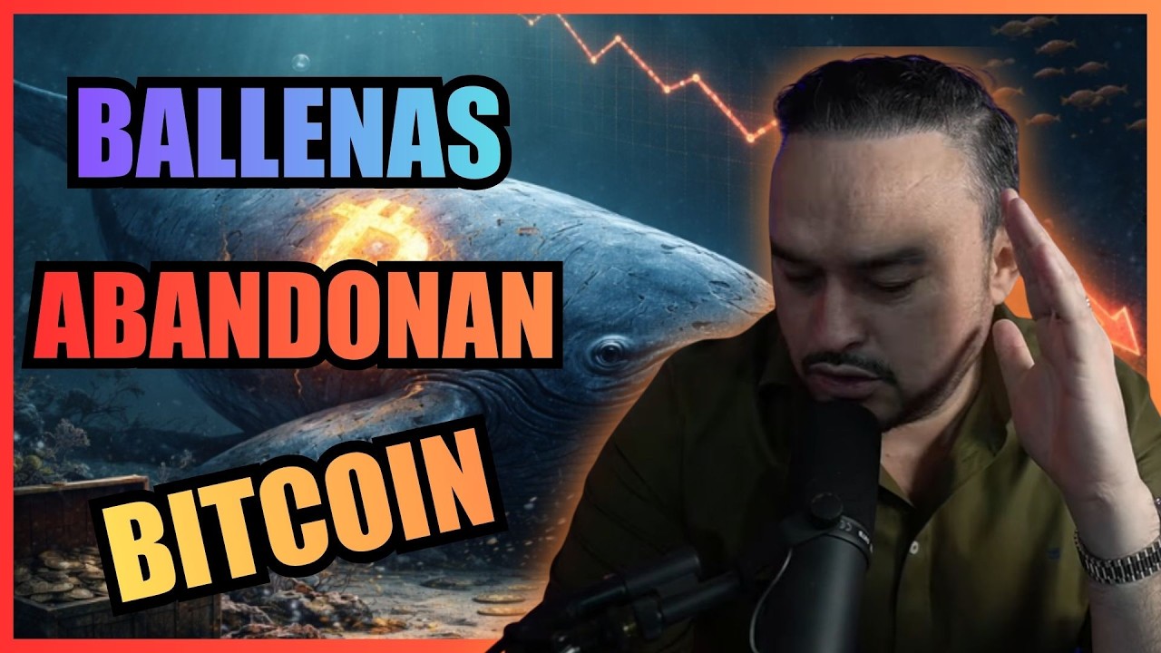 La mayoría pierde en Bitcoin por esto: NO SABEN ESPERAR