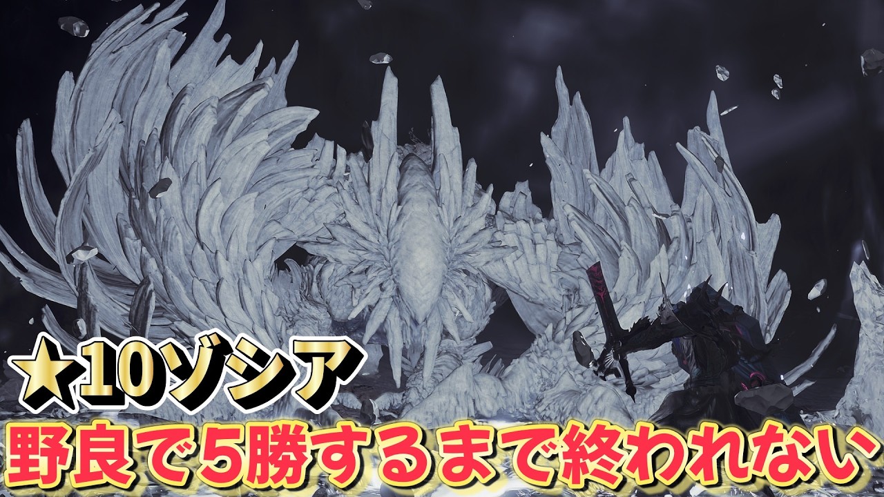 【魔境！？】野良マルチで★10ゾシア5勝するまで終われない【モンハンワイルズ】