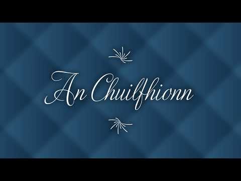 An Chuilfhionn (An Coolin) Traditional Irish Slow Air on D Whistle