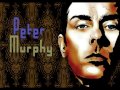 Peter Murphy - Give What He's Got (Live)