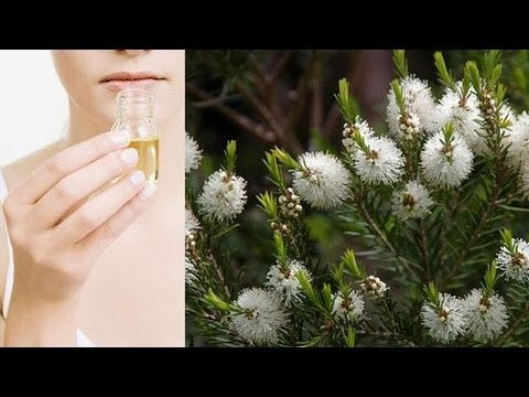 Biogel piccoli cuscini da rughe per una zona intorno a occhi Affronti risposte di prezzo di pasticcio di pacco