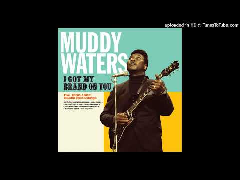 Videoclip de Woman Wanted — Muddy Waters