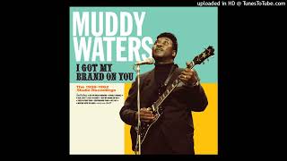 Muddy Waters - Woman Wanted