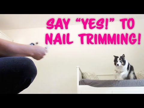 STOP UNWANTED behaviors with BACK UP