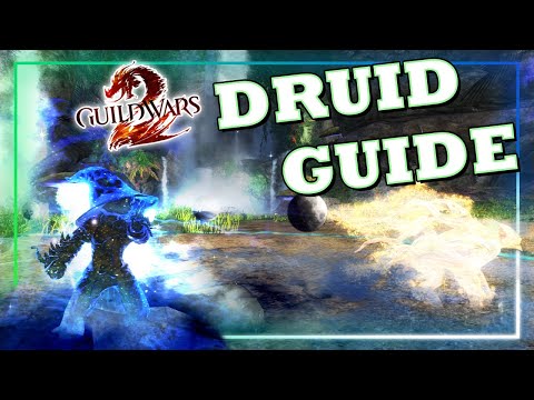 Guild Wars 2: Druid PvE Guide