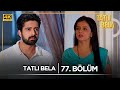 Tatlı Bela Hint Dizisi 77 Bölüm Kanal7