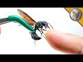 STUNG by a WARRIOR WASP!