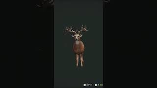 10-Fabled Broadside Neck Shot | #thehuntercallofthewildgameplay