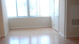 preview picture of video 'The Prime at Arlington Courthouse Apartments - Arlington - Glover - 1 Bedroom'