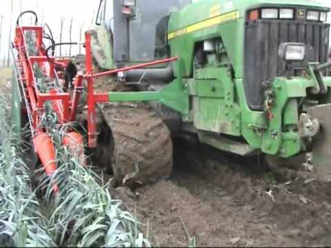 leek and celery harvester LAUWERS