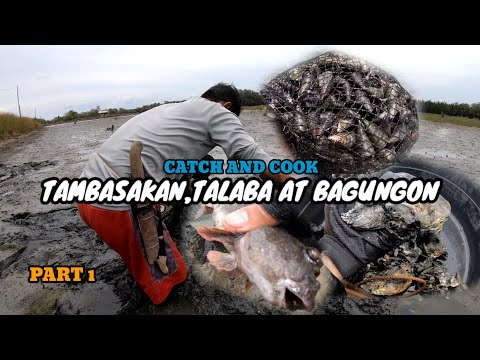 TAMBASAKAN (Mudskipper),TALABA AT BAGUNGON | CATCH AND COOK | EP56 PART-1
