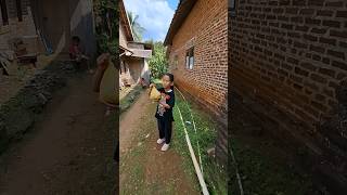 Download lagu beli makanan, buat ayam warna warni #shortsy mp3