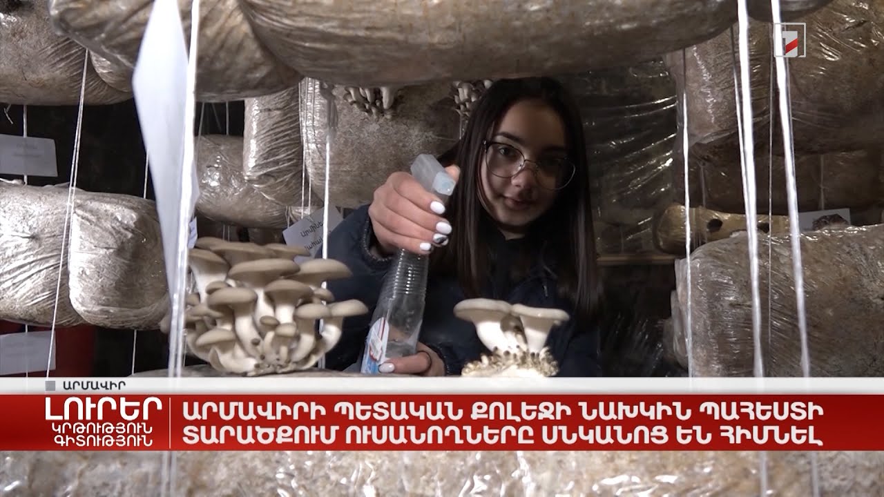 Արմավիրի պետական քոլեջի նախկին պահեստի տարածքում ուսանողները սնկանոց են հիմնել