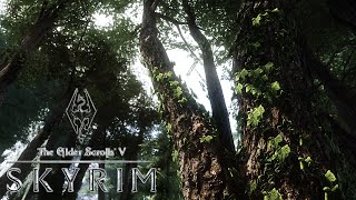 Skyrim - The Great Forest of Whiterun Hold Mod