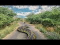 Biggest Anaconda Ever Found | In Real Life | All Parts