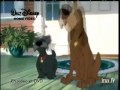 McDonald S Publicite Lady The Tramp 2 French