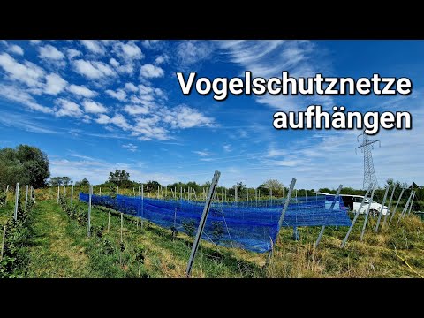 , title : 'Wie hänge ich Vogelschutznetze im Weinberg auf?'