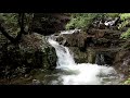 Thirumanam Vaibhavam Indian Classic Music Worldz No Copyright Sounds