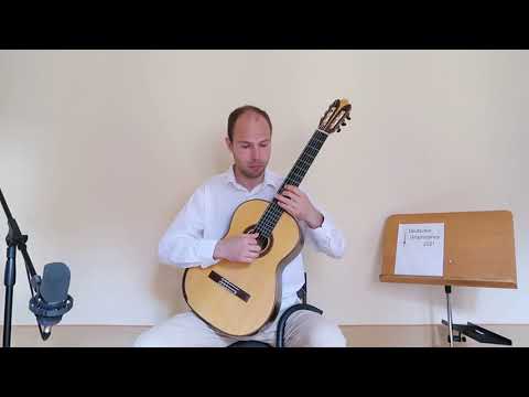 Deutscher Gitarrenpreis 2021- Adam Riha