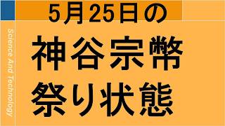 5月25日 神谷宗幣動画バズり状況解説
