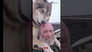 Une famille a adopté un louveteau abandonné.