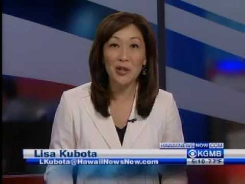 "Easy Swatter" in Honolulu TV News.wmv