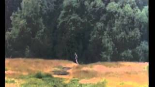 Benton / Fenton the Dog Monty Python Holy Grail