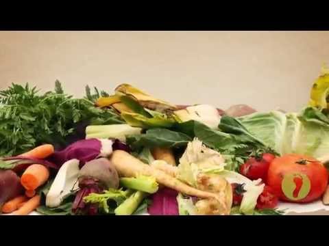 Worm Factory 360 WF360B Worm Composter – Review