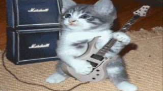 donde estas ( alacranes musical )