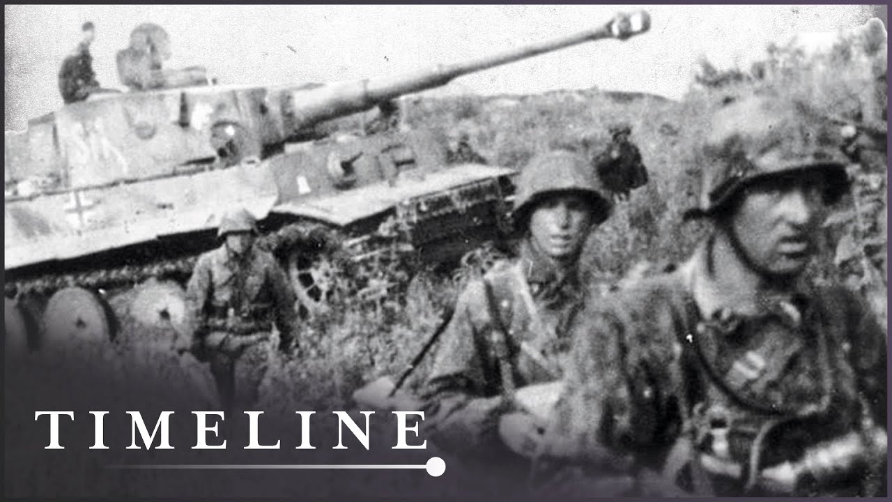 Blitzkrieg As It Happened: How Hitler's Army Took Europe So Quickly
