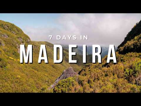 7 Days in Madeira Without a Car | Our Travel Itinerary
