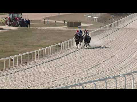 2021.03.21. 01. futam - MEGNYITÓ VERSENY (I.kat.) (szintetikus pálya)