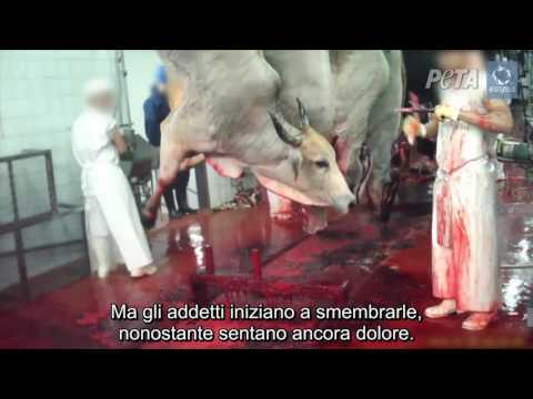 Catarrale infiammazione delle articolazioni Il dolore e stomaco cause e trattamento per la schiena
