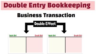 Basic Financial Accounting – Recording Transactions – The Double Entry System – Video #6
