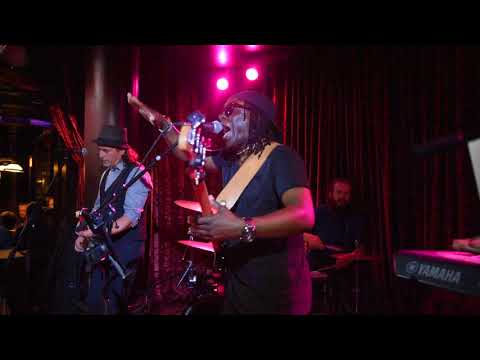 The James Werts World Project in Chicago - II